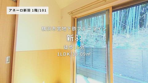 動画