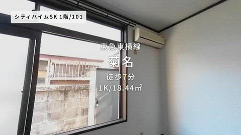 動画