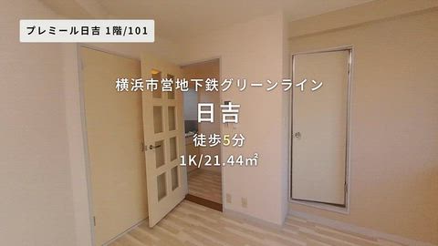 動画