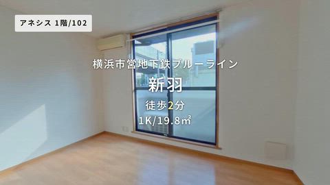 動画