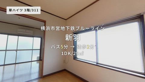 動画