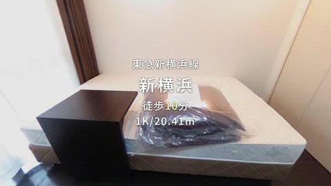 動画