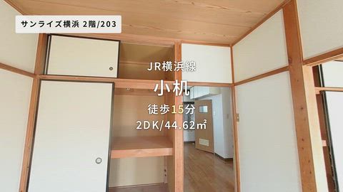 動画