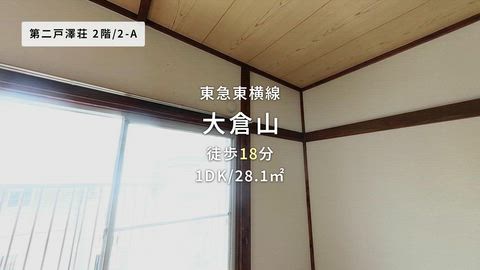 動画