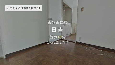 動画