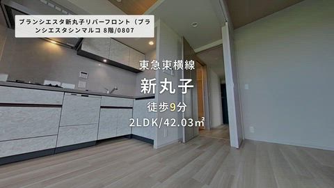 動画