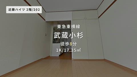 動画