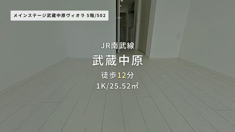 動画