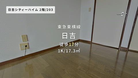 動画