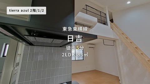 動画