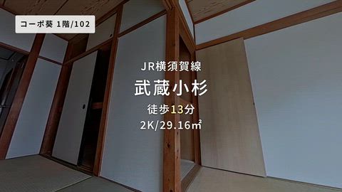 動画