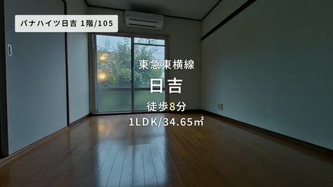動画