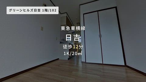 動画