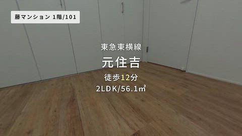 動画
