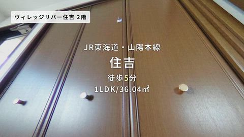 動画
