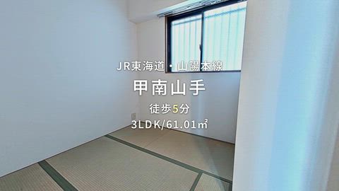 動画