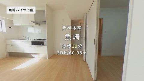 動画