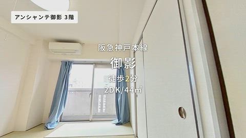 動画