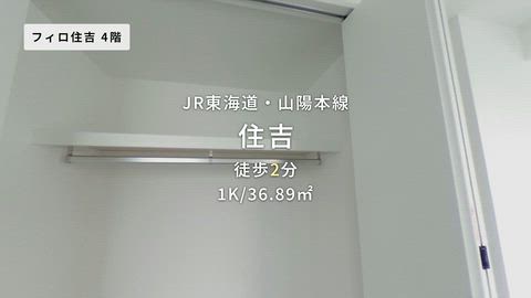 動画