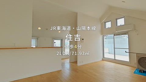 動画