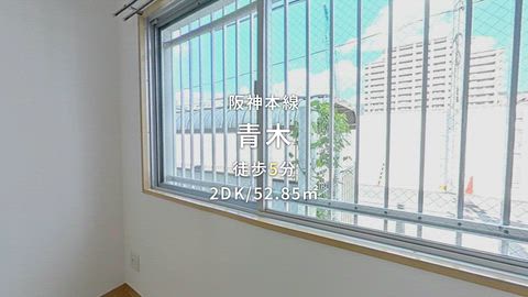 動画