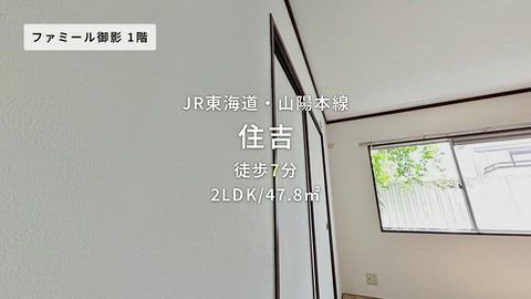 動画