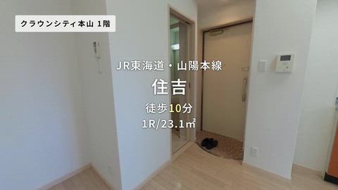 動画
