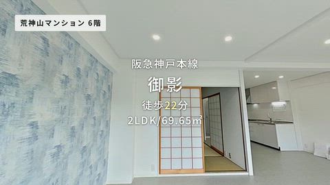 動画