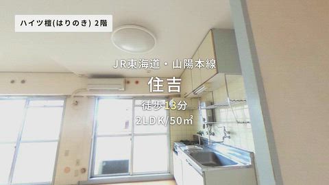 動画