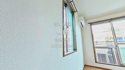 動画