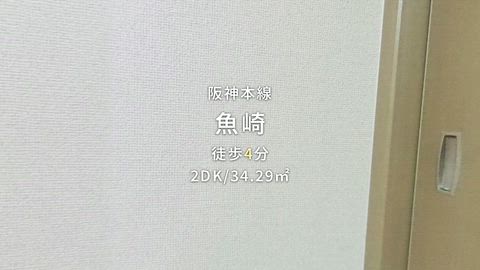動画