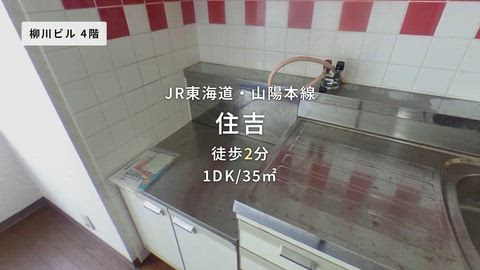 動画