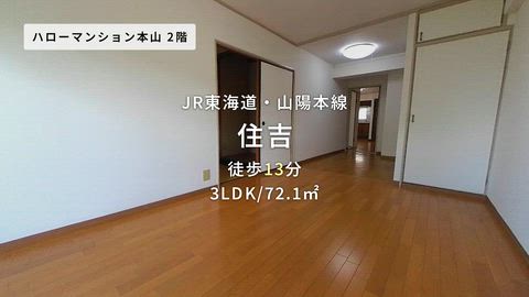 動画