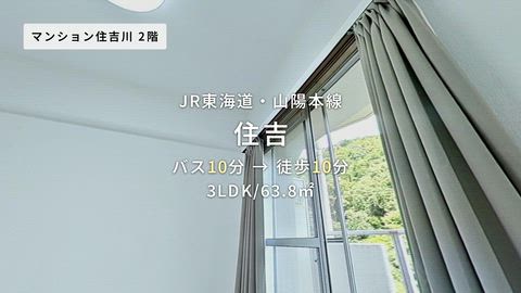 動画
