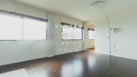 動画