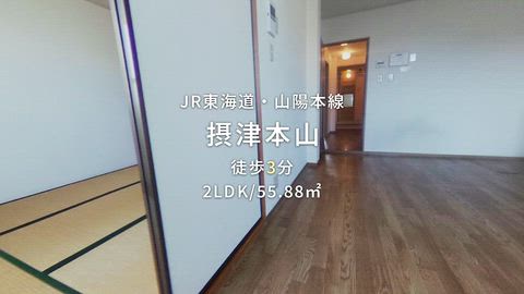 動画