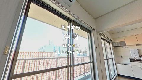 動画