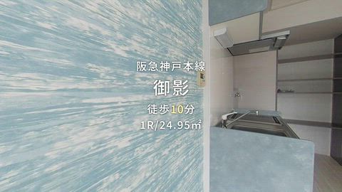 動画