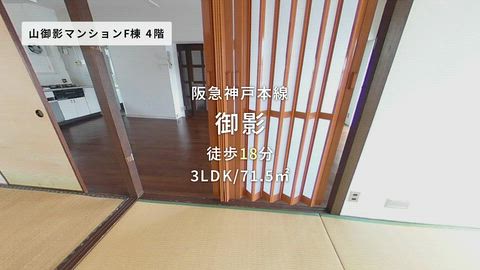 動画