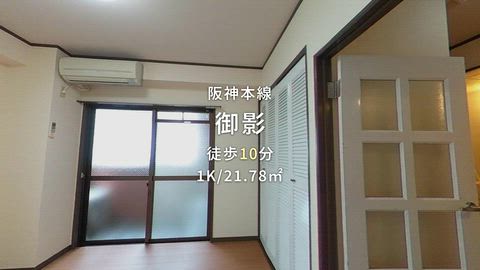 動画