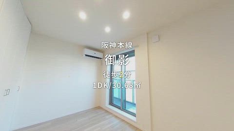 動画