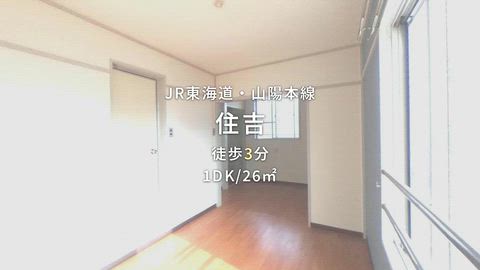 動画