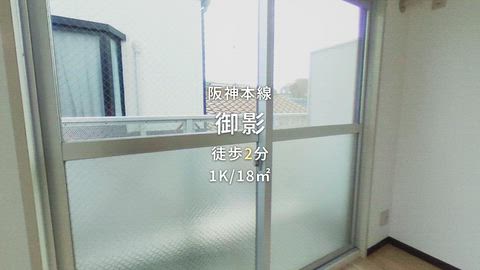 動画