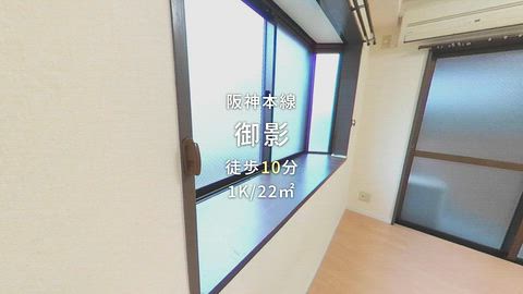 動画
