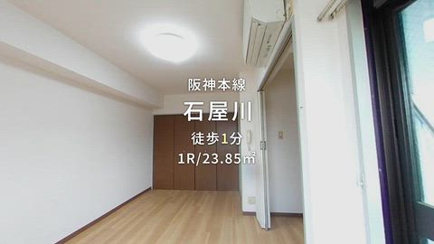 動画