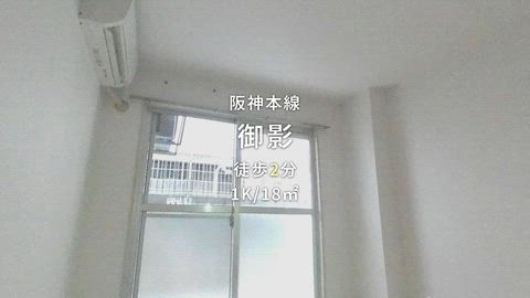 動画