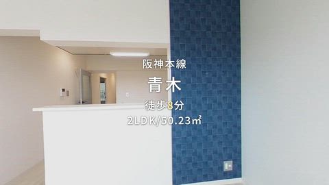 動画