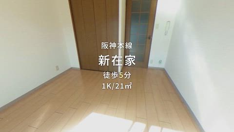 動画