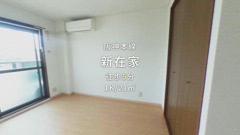 動画