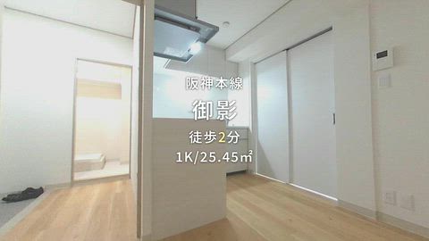 動画